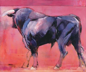 Toro Azul, 1998